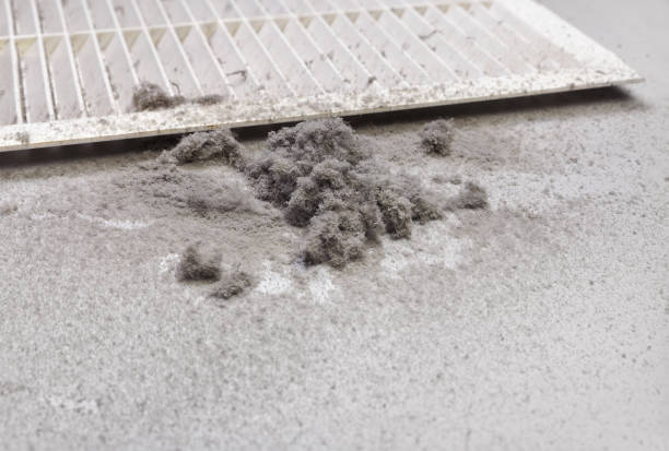 Best Air Vent Cleaning Services  in Glendive, MT