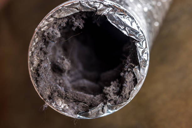 Best Ductwork Cleaning Services  in Glendive, MT
