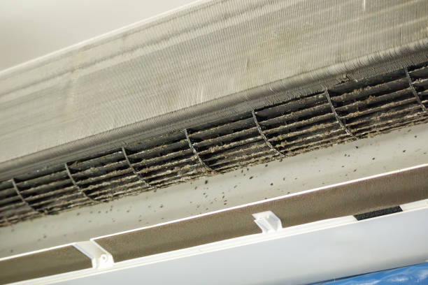 Best Affordable Duct Cleaning Services  in Glendive, MT