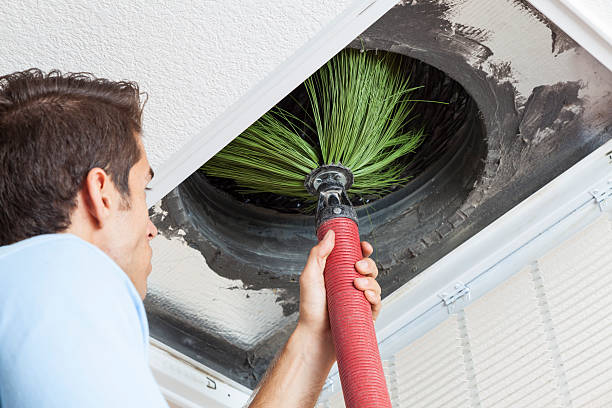 Air Duct Mold Removal in MT